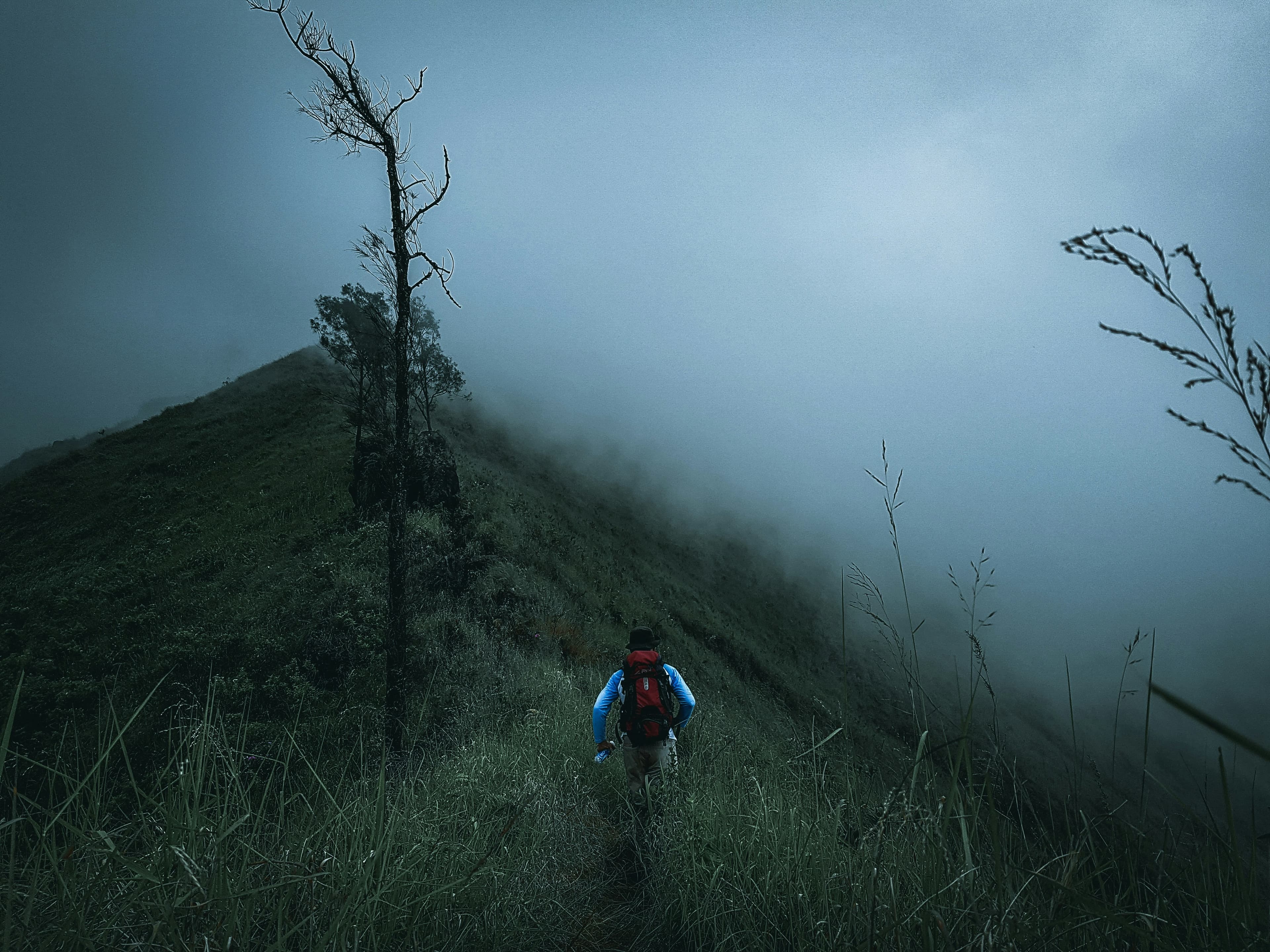 Aberdare Wilderness Trek