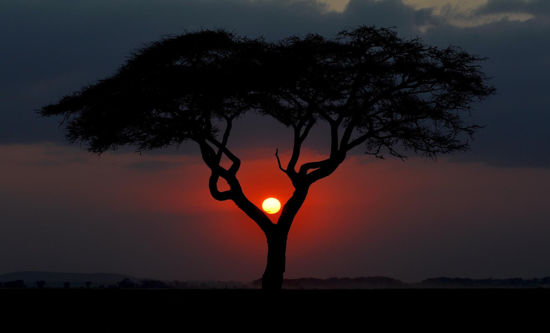 Magical Kenya Family Adventure