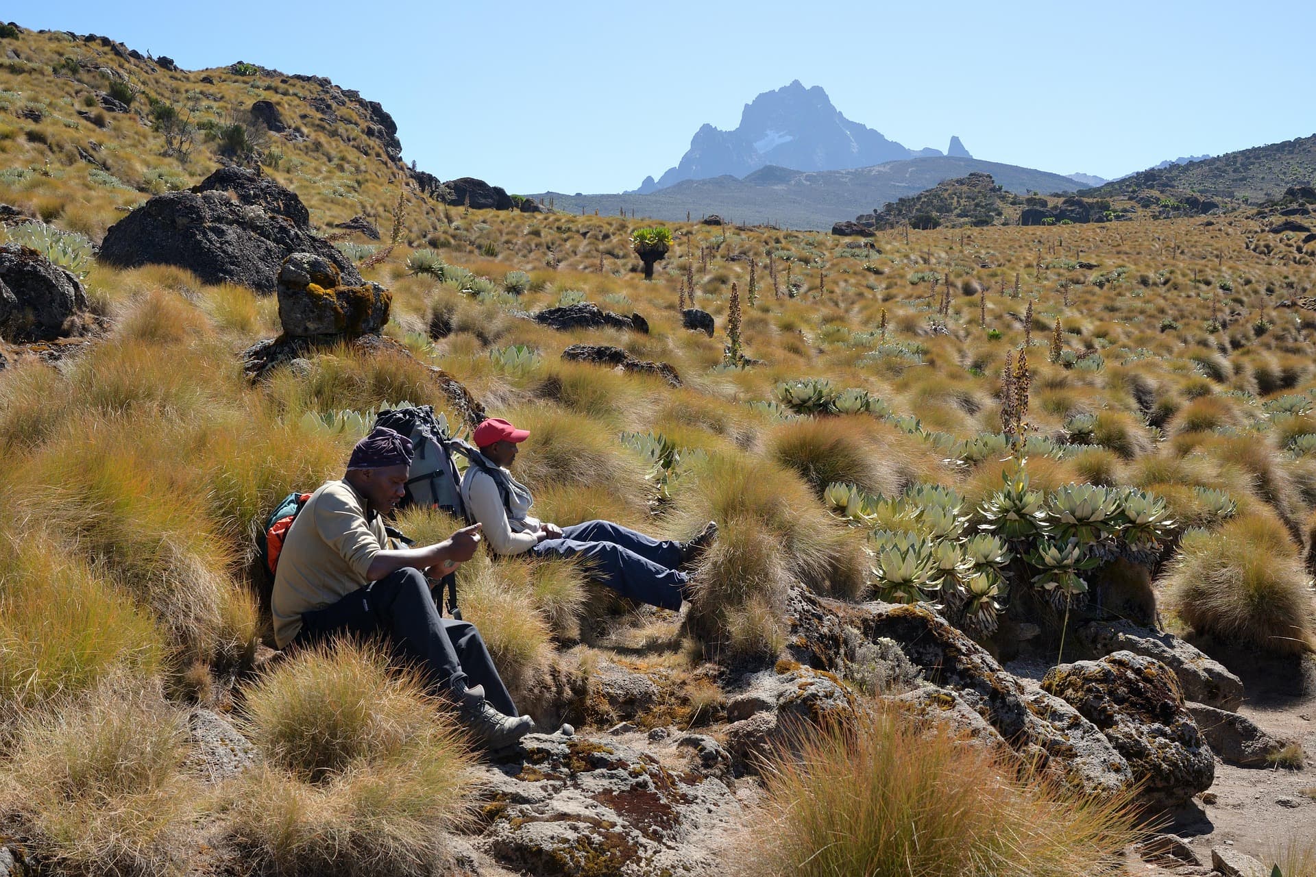 Mt. Kenya Trek Adventure