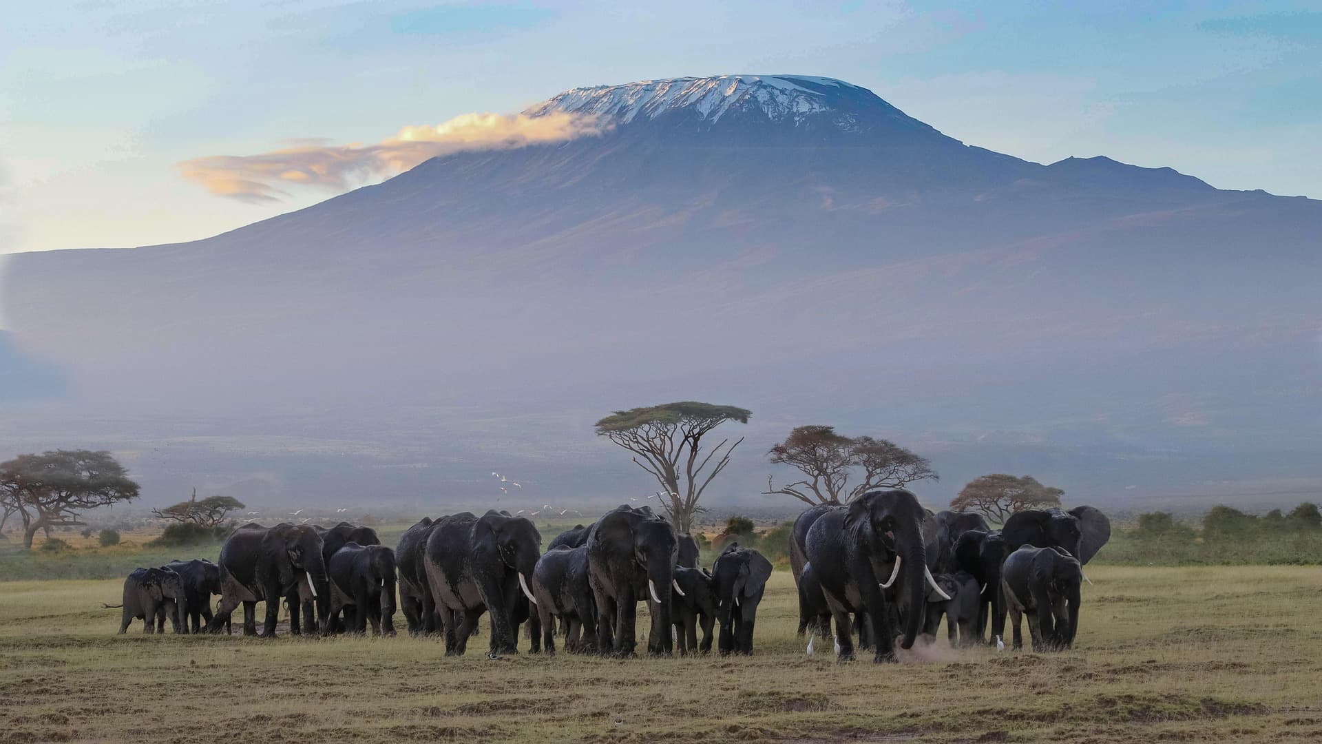 Amboseli Luxury Escape